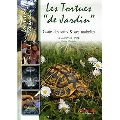 Les Tortues de Jardin