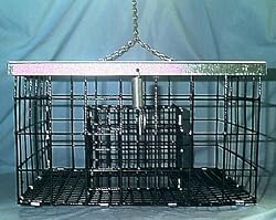 Dartmouth Feeders, Inc. Squirrel Proof Feeder 10.5 X 9 - Spf-6