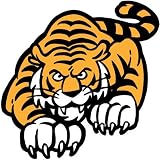 Crouching Tiger Temporary Tattoos