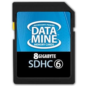 BLAZING 8GB SDHC Class 6 ( Secure Digital High Capacity ) Memory Card for Casio Exilim EX-Z550 / EX-FC100 / EX-S5 / EX-H10 and More Digital Cameras