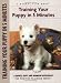 Training Your Puppy in 5 Minutes (Positive Training) (Positive Training)