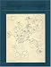 Books : Drawings in Dialogue: Old Master through Modern: The Harry B. and Bessie K. Braude Memorial Collection (Art Institute of Chicago)