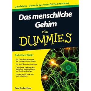 Das menschliche Gehirn für Dummies