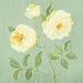 Abundant Rose I - Cheryl Roberts Art Print Poster 12 x 12 Image