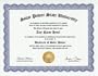 Solar Power Degree: Custom Gag Diploma Doctorate Certificate (Funny Customized Joke Gift - Novelty Item)