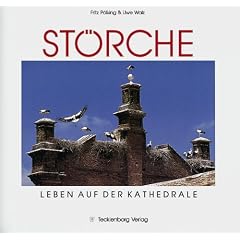 St�rche. Leben auf der Kathedrale