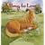 A Pony to Love (Cuddle & Read Books)