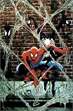 Spider-Man Legends Volume 2: Todd McFarlane Book 2 TPB (Marvel Legends)