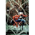 Spider-Man Legends Volume 2: Todd McFarlane Book 2 TPB (Marvel Legends)