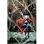 Spider-Man Legends Volume 2: Todd McFarlane Book 2 TPB (Marvel Legends) book cover