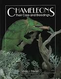 Chameleons: Their Care and Breeding