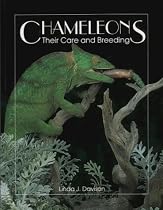 Chameleons: Their care and breeding