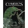 Chameleons: Their Care and Breeding