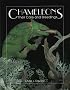 Chameleons: Their Care and Breeding