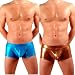 Mens Liquid Metallic Hot Body Boxer Swimsuit Gary Majdell Sport