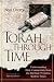 Torah Through Time: Understanding Bible Commentary, from the Rabbinic Period to Modern Times