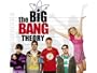 The Big Bang Theory: The Complete Second Season
