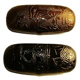 Egyptian Design Regular Size Hard Clamshell Sunglasses Cas