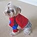 Alfie Pet by Petoga Couture - Superhero Costume Spiderman - Size: S