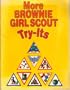 More Brownie Girl Scout Try-Its