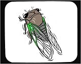 Mouse Pad with bug, winged, insect, cicada