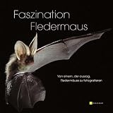 Faszination Fledermaus : Von einem der auszog, Flederm&auml;use zu fotografieren - Marcus Angebauer, Dieter Stein