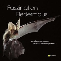 Faszination Fledermaus : Von einem der auszog, Flederm�use zu fotografieren