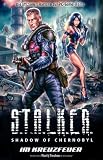 S.T.A.L.K.E.R. - Shadow of Chernobyl, Band 7: Im Kreuzfeuer. Videogameroman - Wasilij Orechow