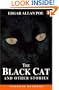 The Black Cat and Other Stories (Penguin Readers, Level 3)
