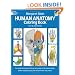 Human Anatomy Colouring Book