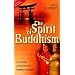 Spirit of Buddhism, The: A Christian Perspective on Buddhist Thought