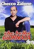 What a Beautiful Day (2011) ( Che bella giornata ) [ NON-USA FORMAT, PAL, Reg.2 Import - Italy ]