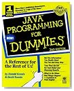  Java Programming for Dummies