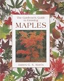 The Gardener s Guide to Growing Maples