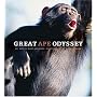 Great Ape Odyssey