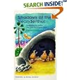 Shadows of the Neanderthal: Illuminating the Beliefs that Limit Our Organizations