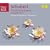 Schubert: The Late Quartets; Quintet