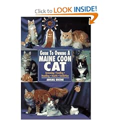 Guide to Owning a Maine Coon Cat