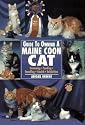 Guide to Owning a Maine Coon Cat