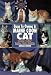 maine coon - Guide to Owning a Maine Coon Cat (Guide to Owning)