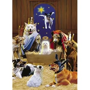 Avanti Christmas Cards, The 12 Dogs of Christmas, 10-Count