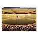 Good Sports Art New York Yankees Yankee Stadium Screenplay Lithograph