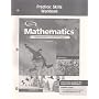 Mathematics: Applications and Concepts, Course 2, Practice Skills Workbook
