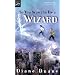 So You Want to Be a Wizard (Young Wizards)