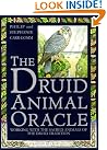 Druid Animal Oracle
