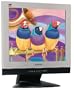 ViewSonic VX500 15" LCD Display