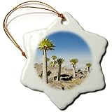 3dRose orn_131558_1 Ethiopian Giant Lobelia, Simien Mountains, Ethiopia Af16 Mzw0140 Martin Zwick Snowflake Ornament, Porcelain, 3-Inch