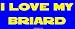 I Love My Briard Large Bumper Sticker