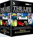 The Life Collection 