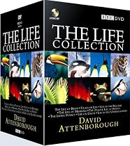 The Life Collection : David Attenborough (24 Disc BBC Box Set) [DVD]